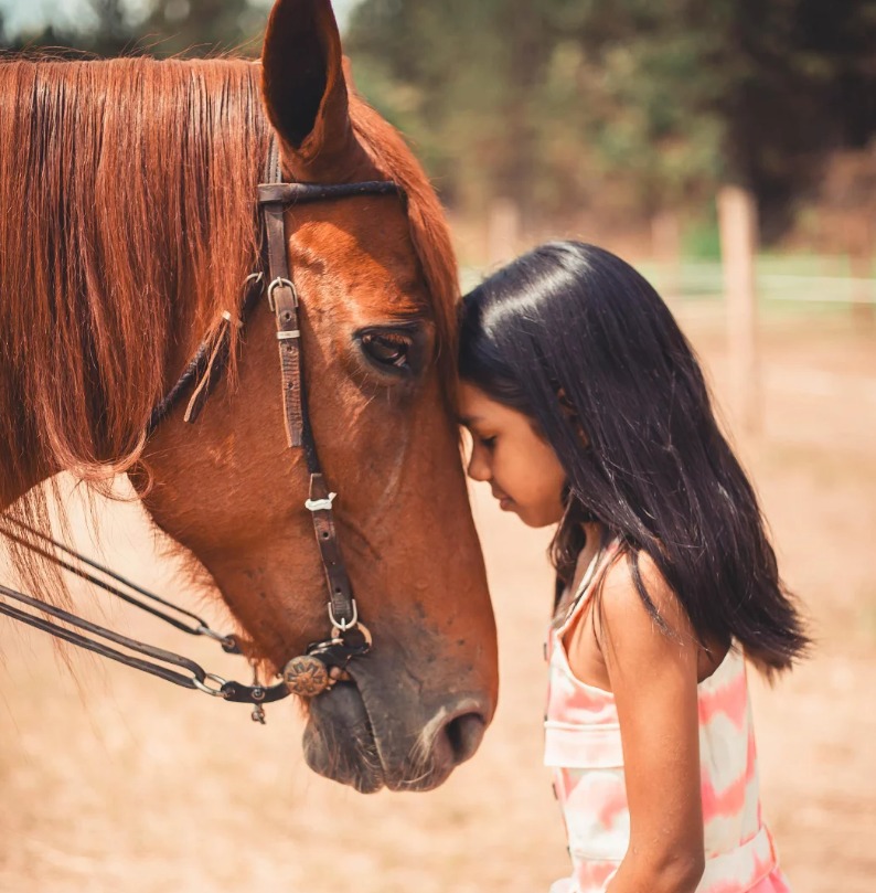 Ensaio fotográfico no Rancho Serena